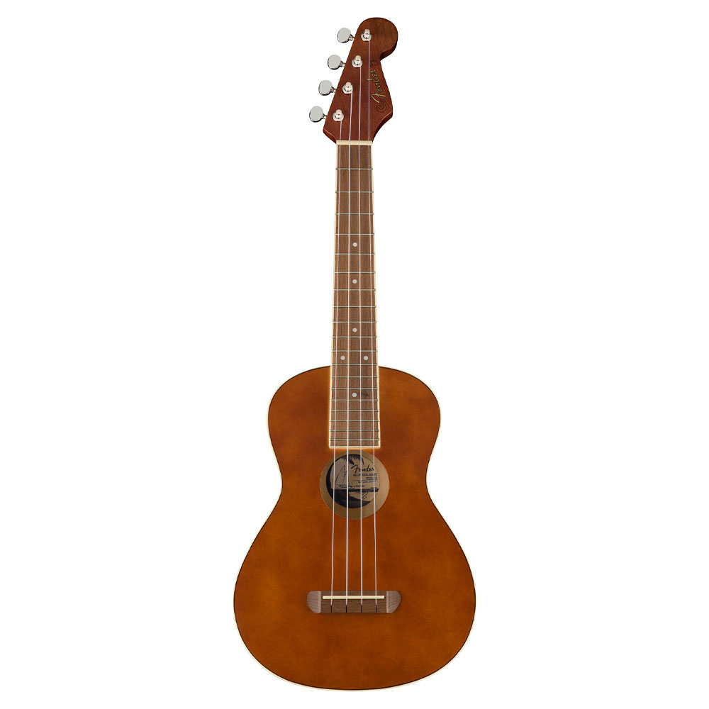 Ukulele store concert fender
