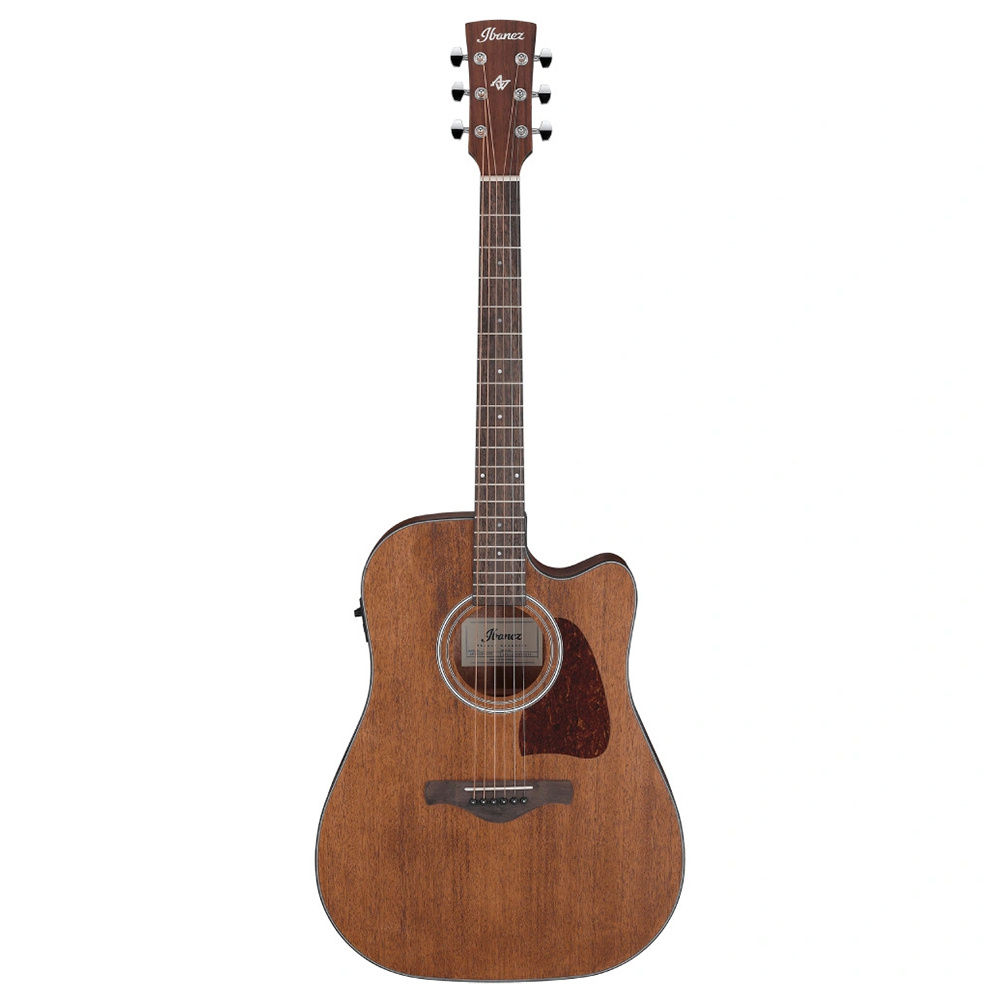 Ibanez hotsell aw54ce 12