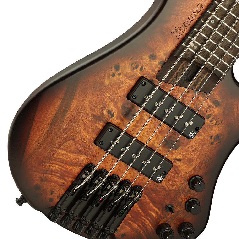 Ibanez ehb1505 discount