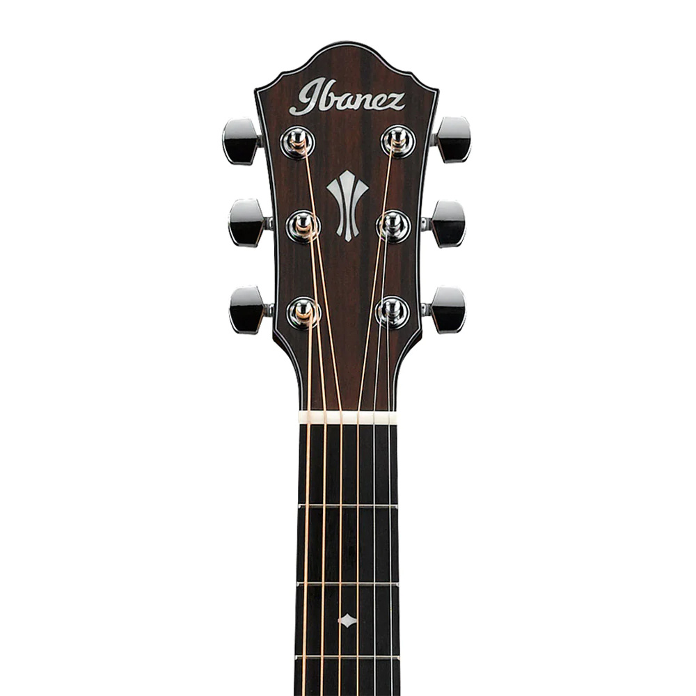 Ibanez aeg200 2025