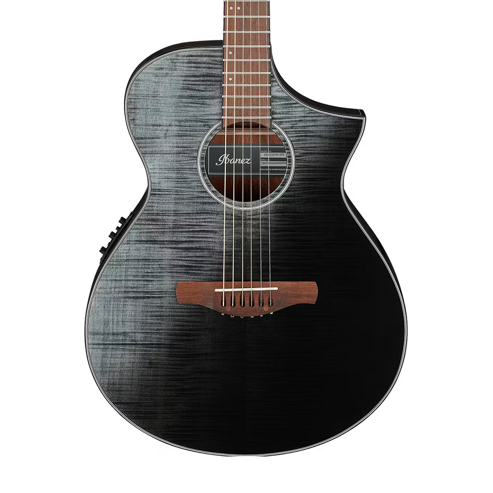 Ibanez aewc32 sales