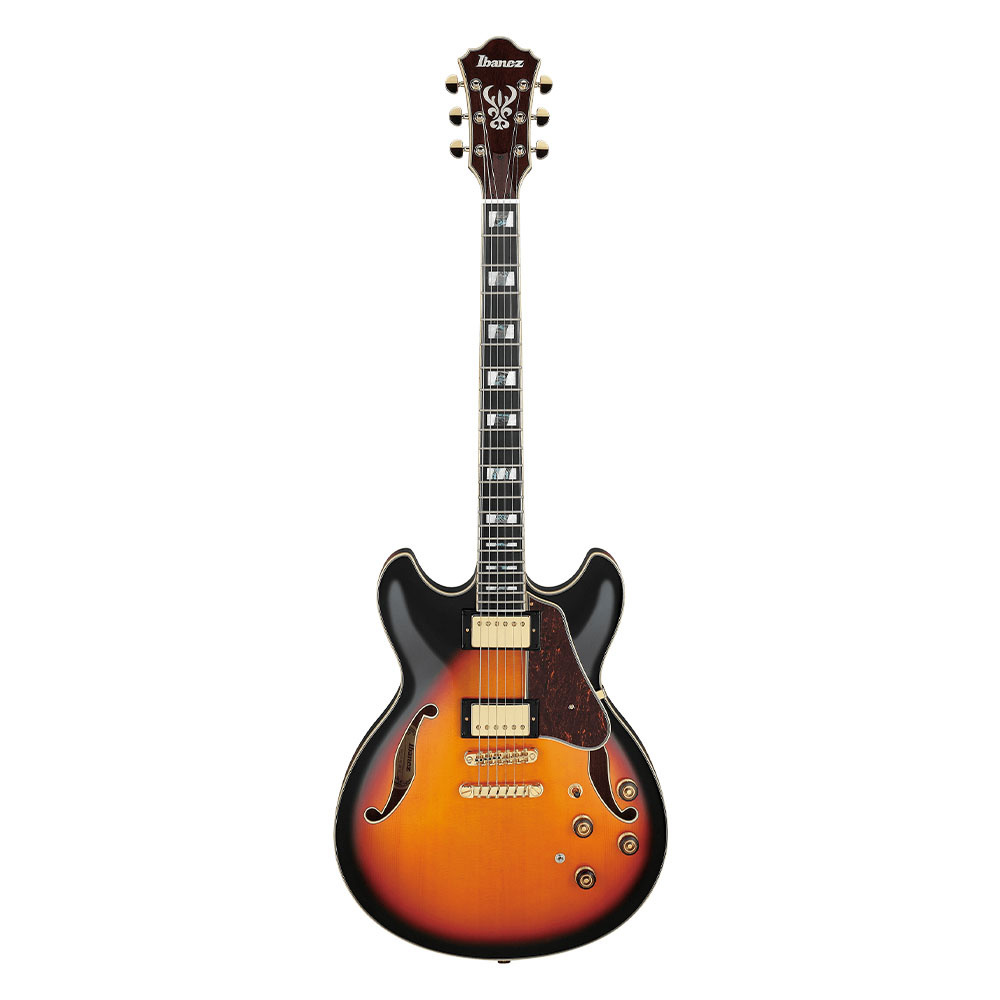 IBANEZ AS113-BS Elektro Gitar Fiyatı, Özellikleri | ZUHAL - 50