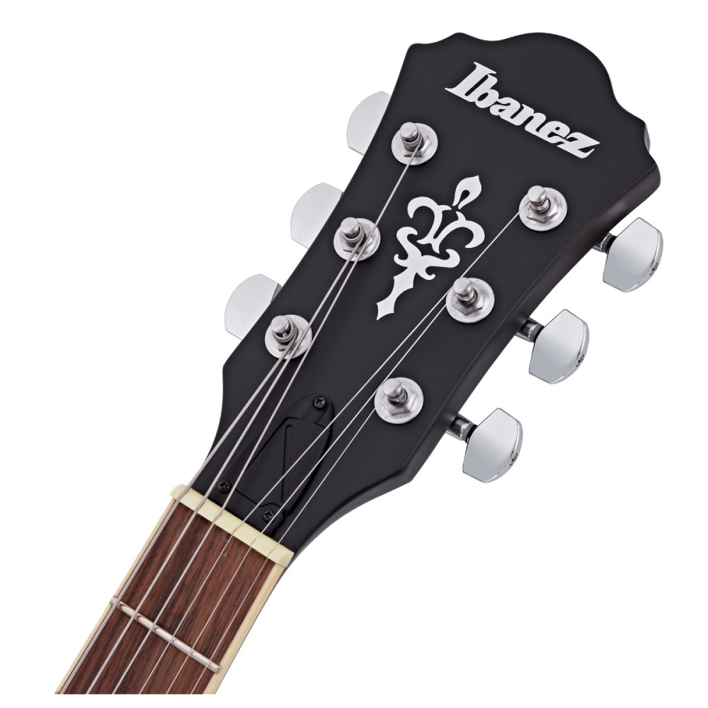 Ibanez store af55 artcore