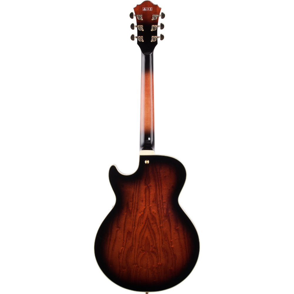 IBANEZ AG95QA DBS AG Elektro Gitar