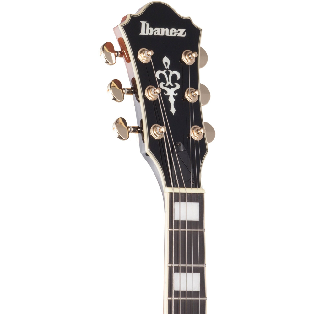 IBANEZ AG95QA DBS AG Elektro Gitar