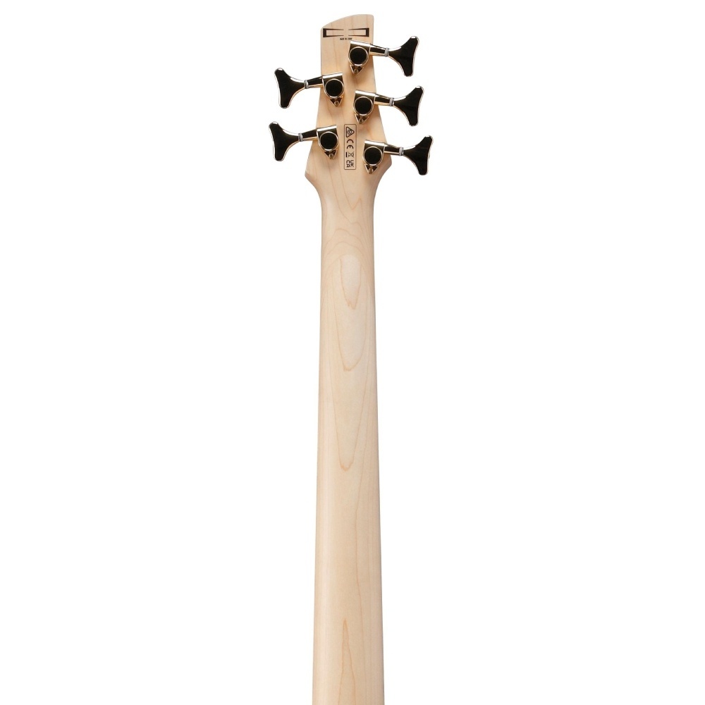 Ibanez GSR205PC-TMU GSR Serisi 5 Telli Bas Gitar Fiyatı