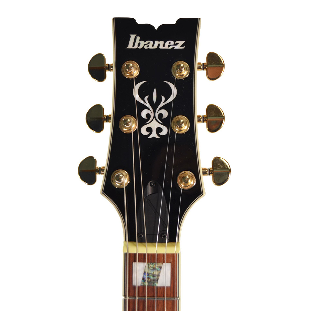 Ibanez gio acoustic shop guitar