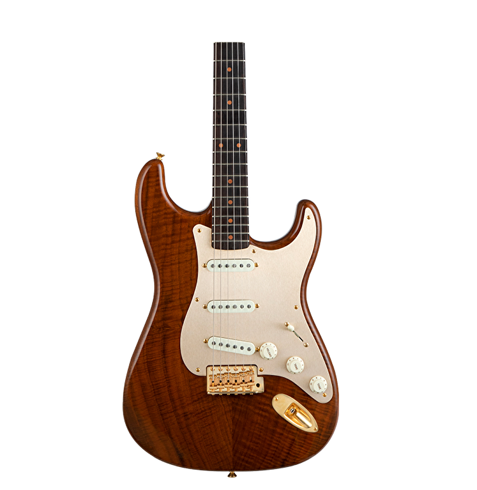 Fender shop stratocaster artisan