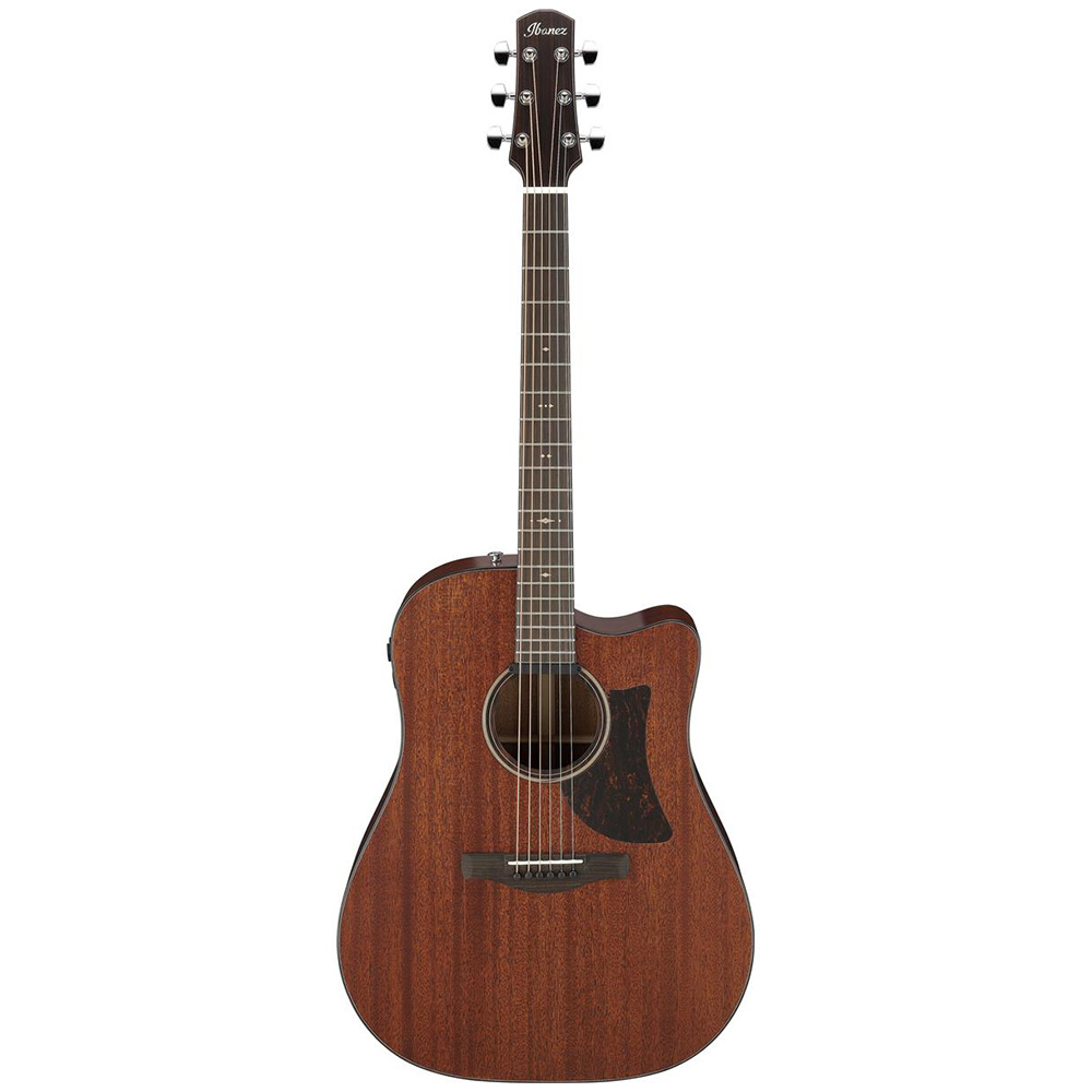 Ibanez advanced store acoustic