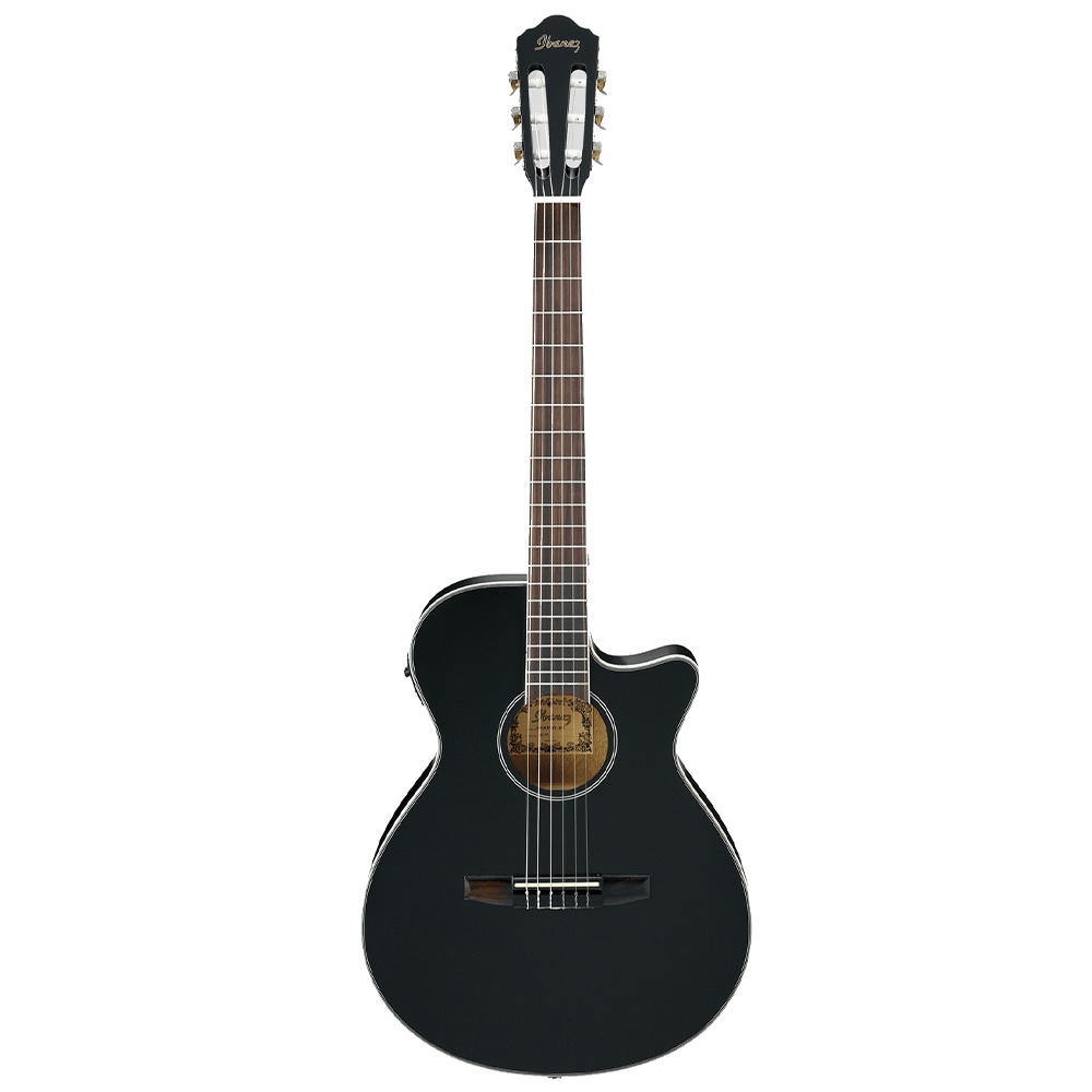 Ibanez aeg8tne shop