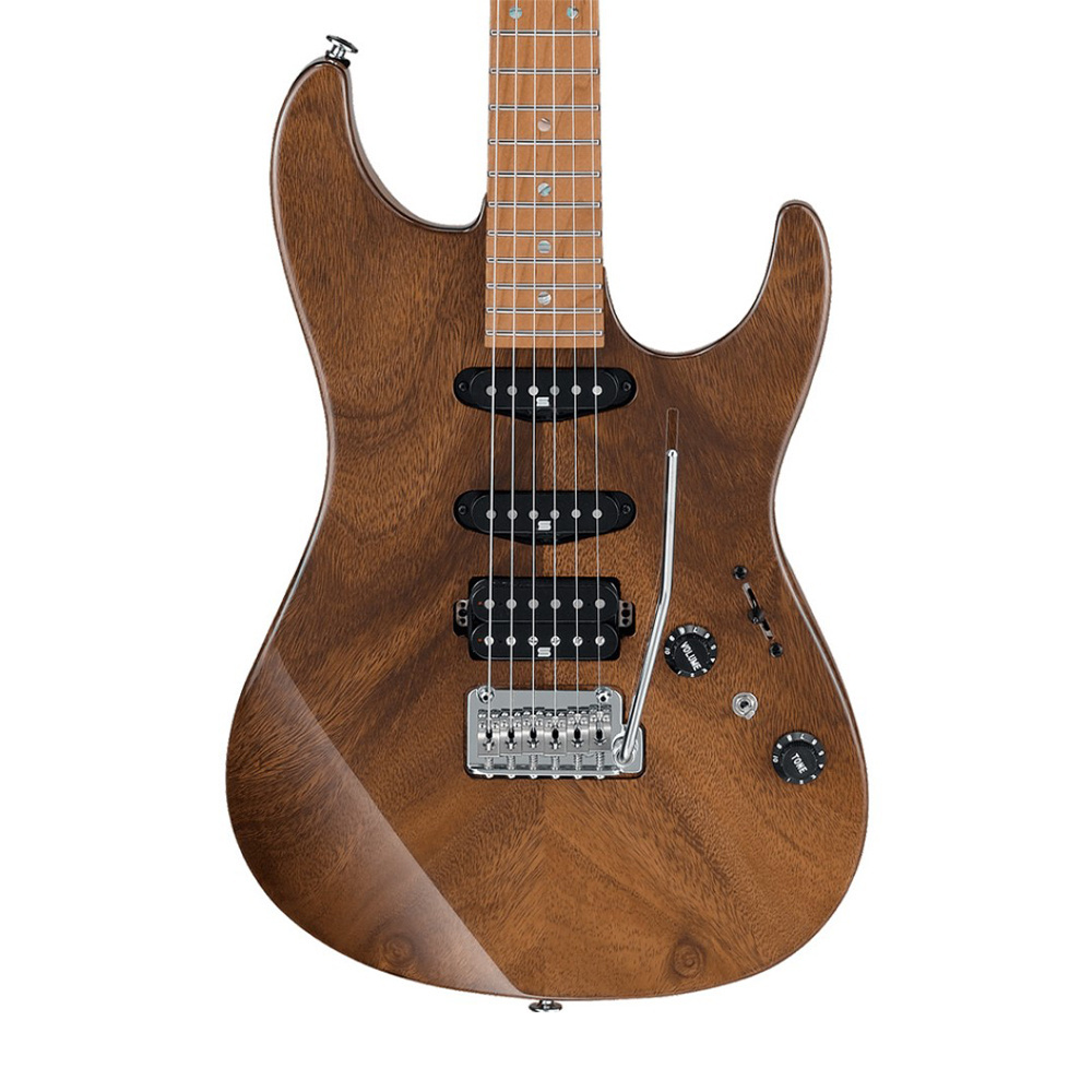 IBANEZ TQM1-NT Tom Quayle Signature Serisi Elektro Gitar Fiyatı