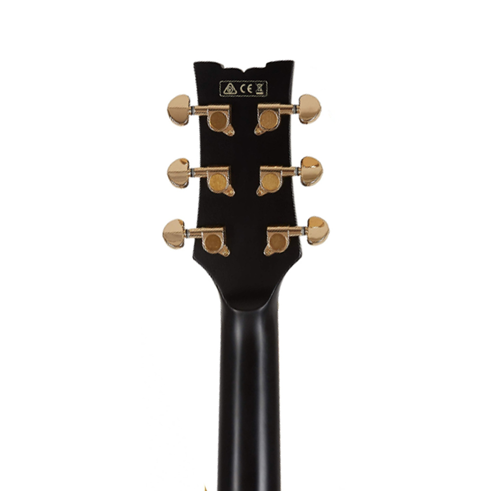 IBANEZ JSM20 BKL JSM Elektro Gitar Case Dahil Fiyat