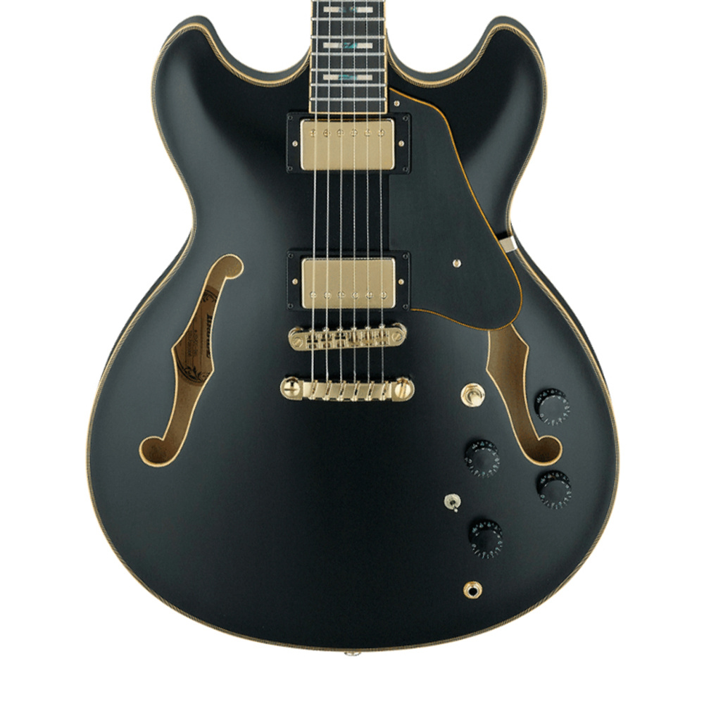 IBANEZ JSM20 BKL JSM Elektro Gitar Case Dahil Fiyat