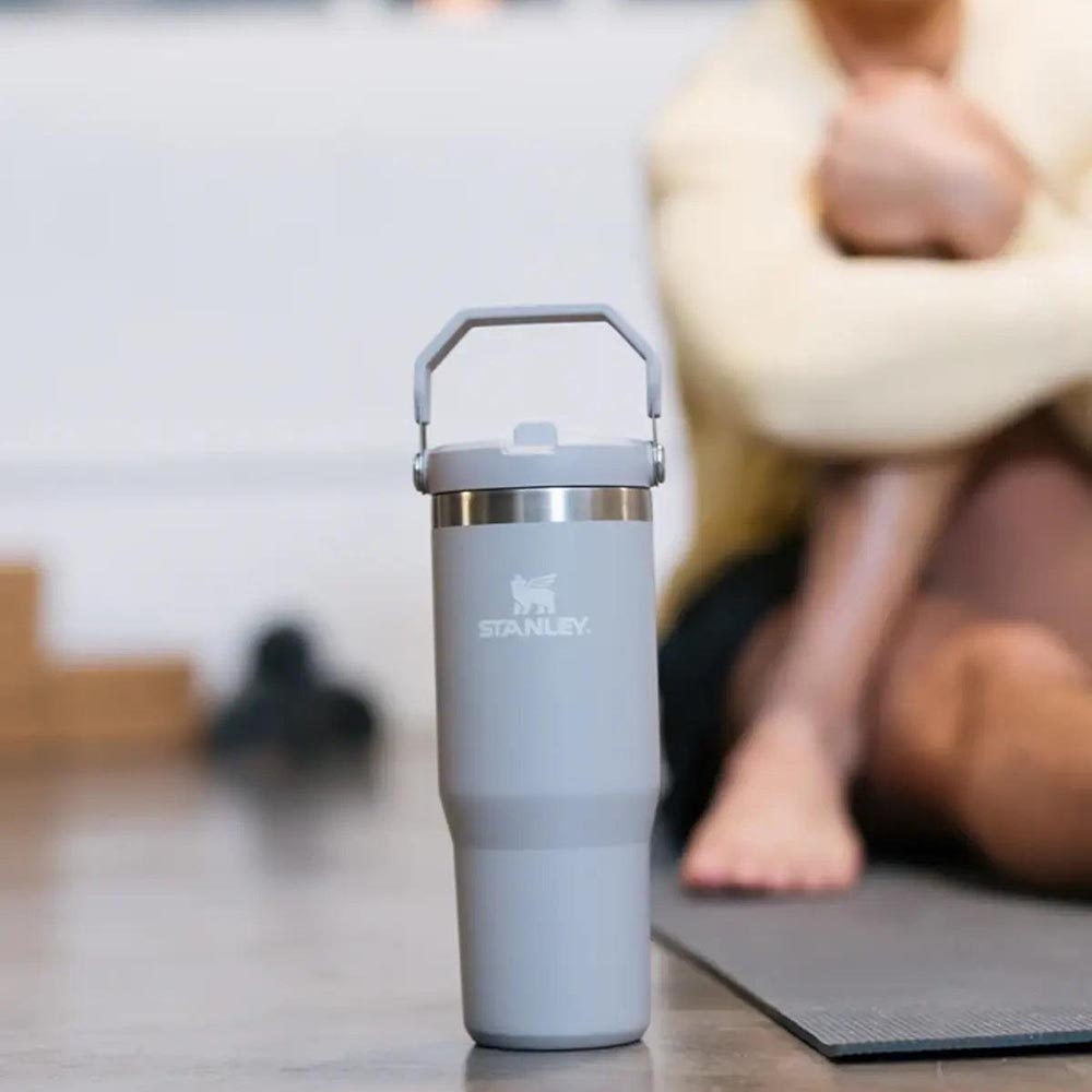 Stant サーモスタット 13899 ビュイックリーガル他 STANLEY The IceFlow™ Flip Straw Tumbler 0.89L / 30oz Ash Fiyatı