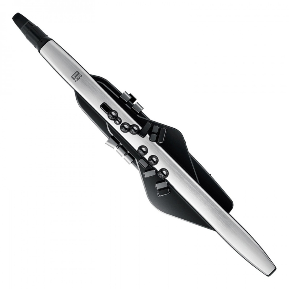 Roland AE-30 Aerophone Pro Dijital Nefesli Enstrüman Fiyatı