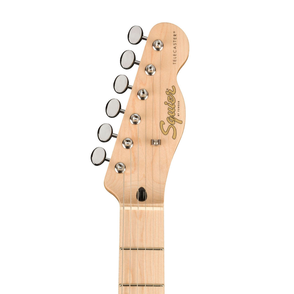 Paranormal cabronita sales telecaster thinline