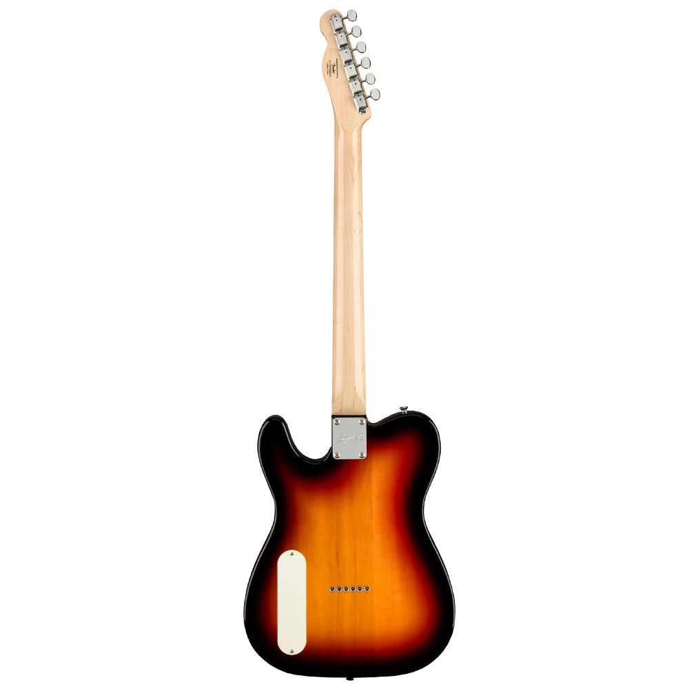 Fender on sale paranormal baritone