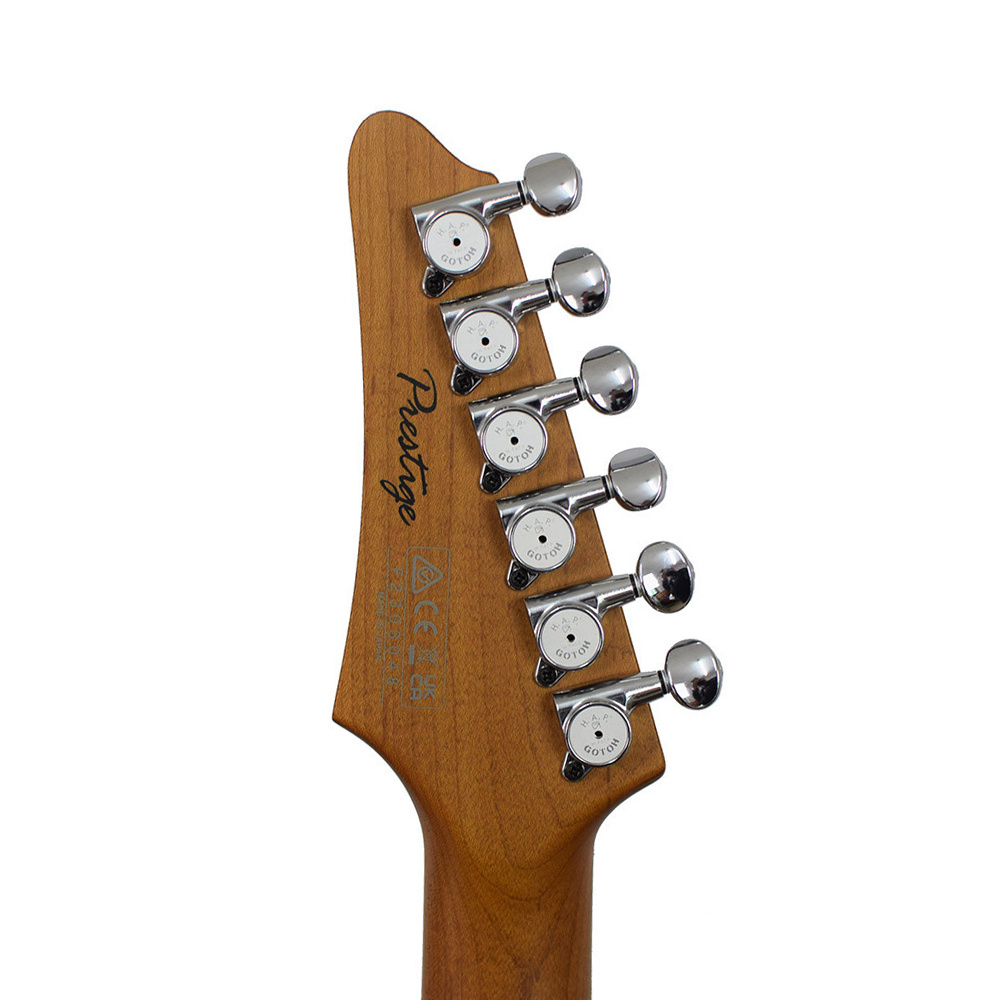 Ibanez azs2209 on sale