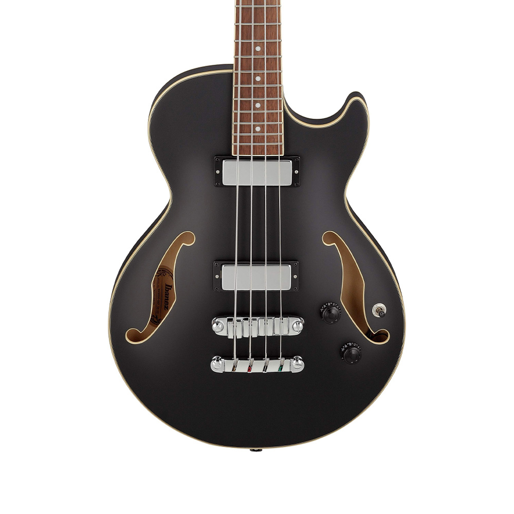 Ibanez artcore bass 6 2025 string