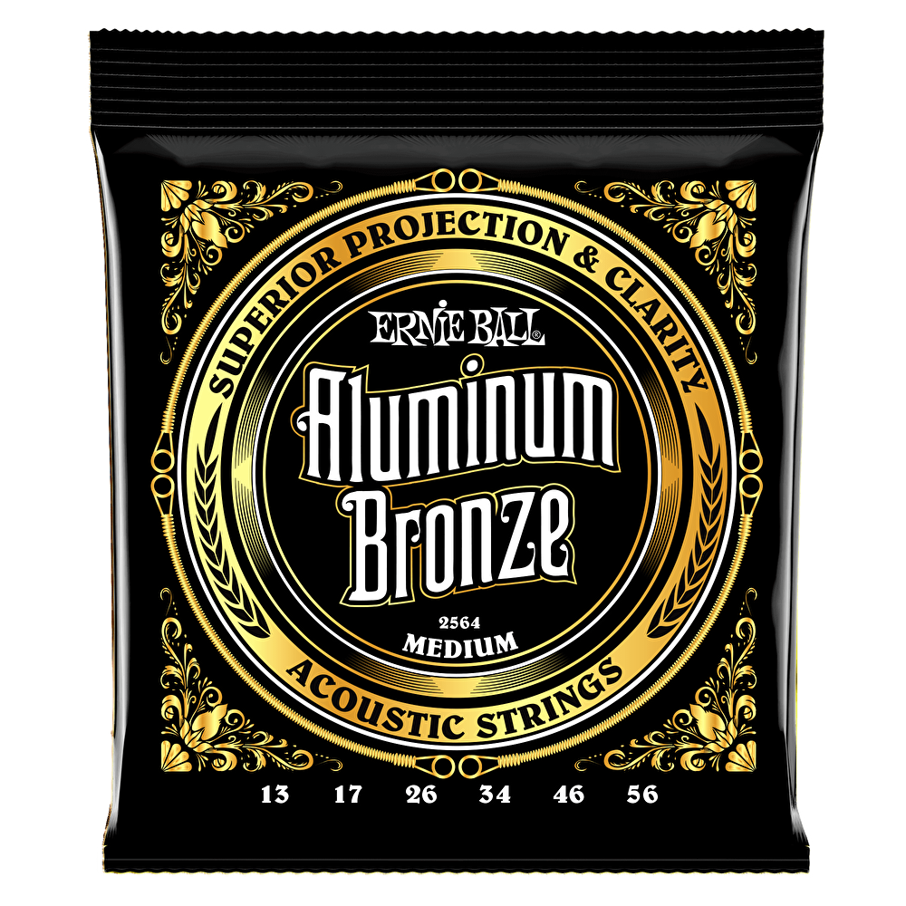 Ernie ball sales 13