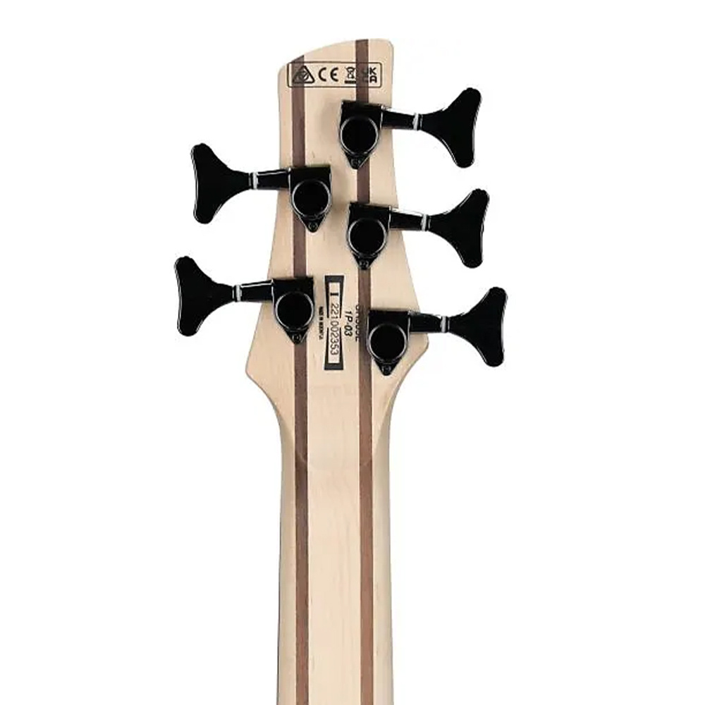 Ibanez online standard sr305e