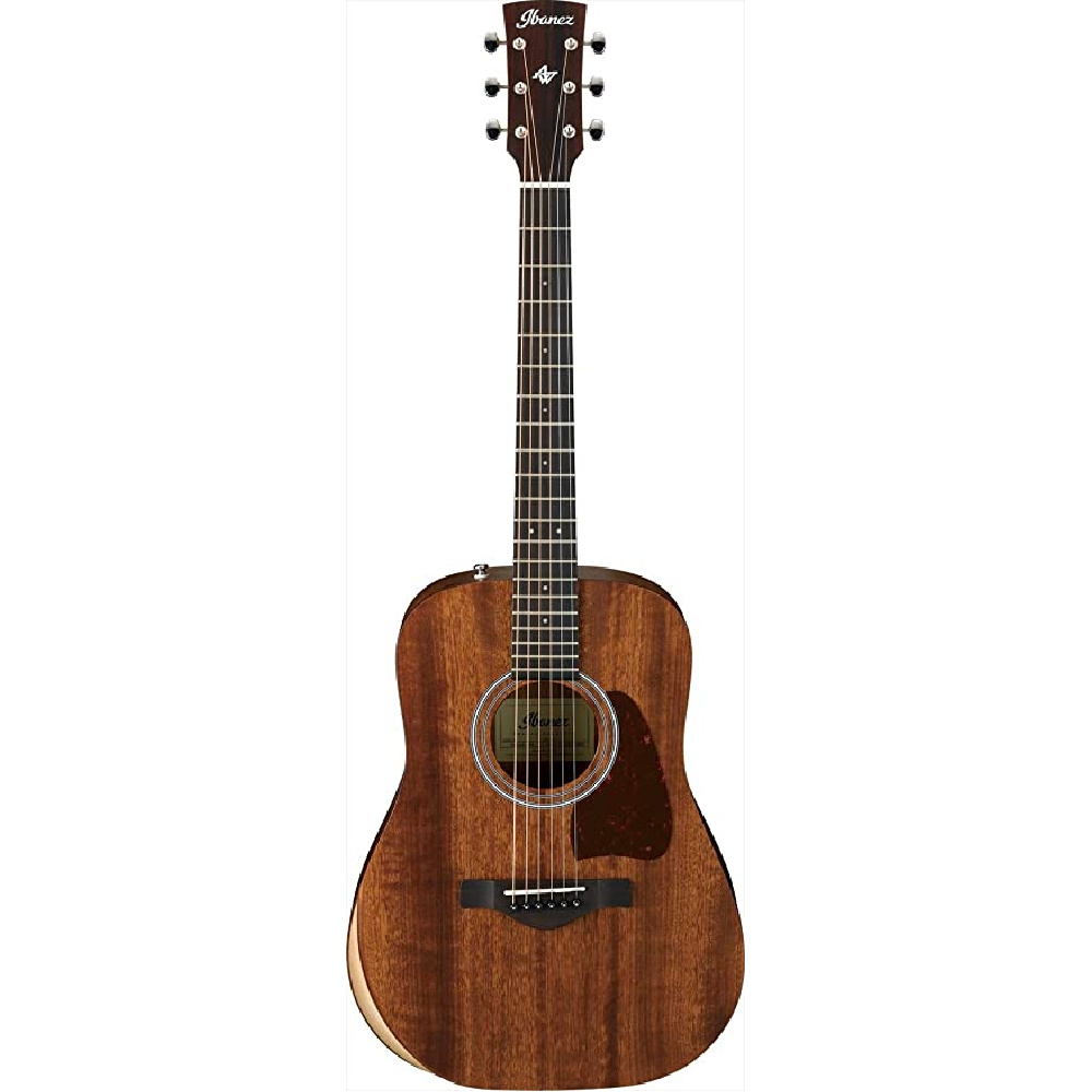 Ibanez artwood shop aw54jr
