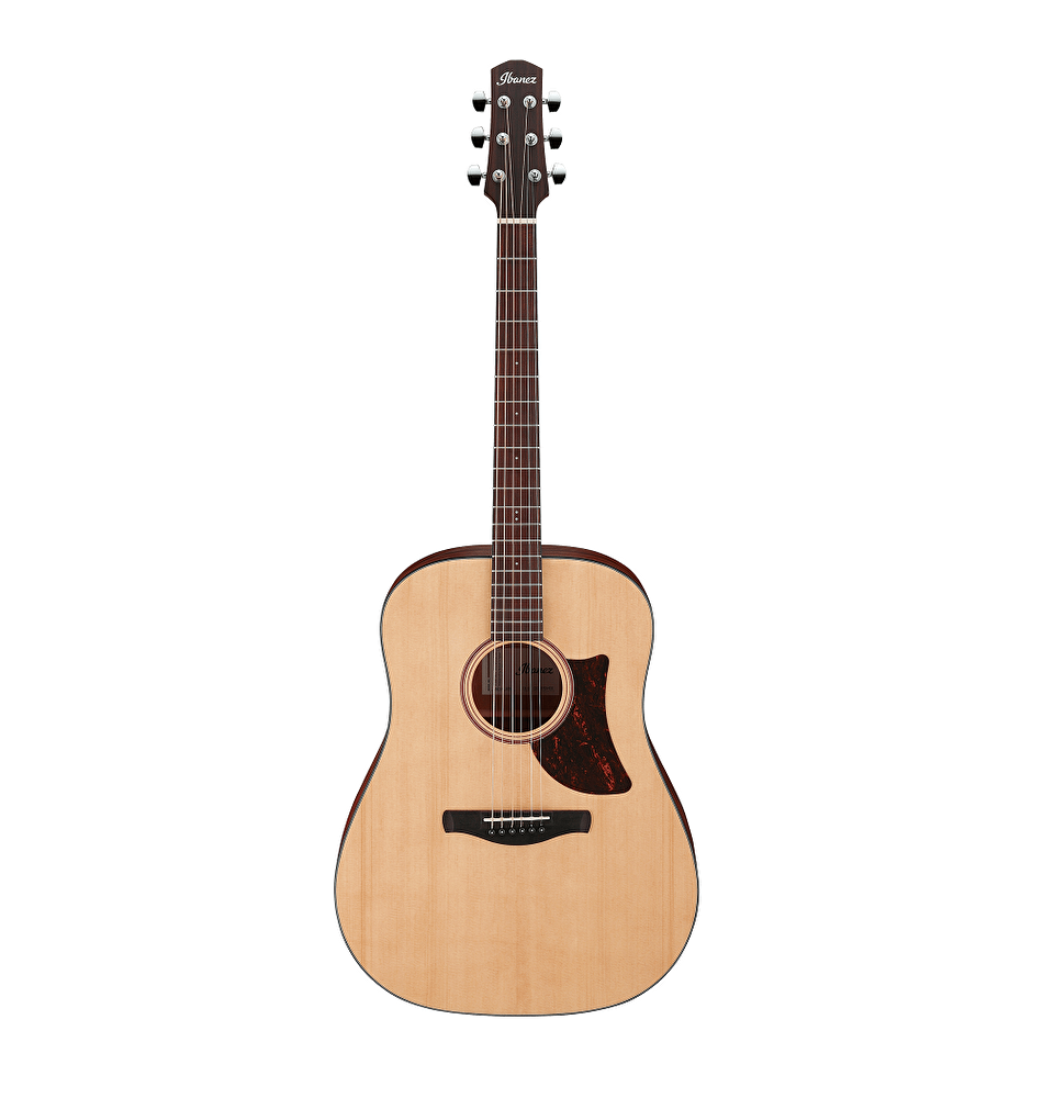 Ibanez opn online