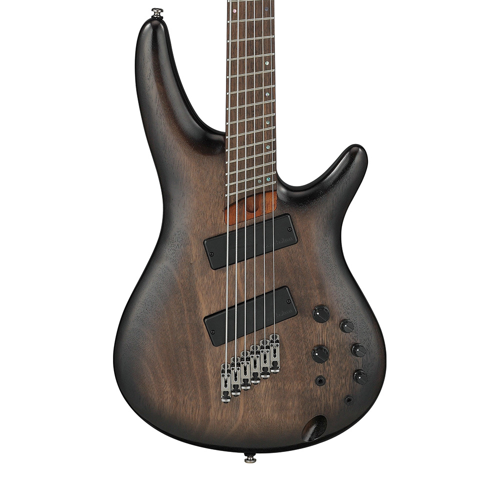 Ibanez SRC6MS BLL Bass Workshop SRC Serisi 6 Telli Bas Gitar
