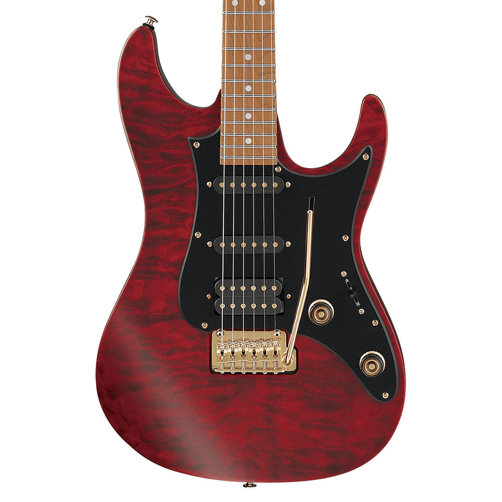 Ibanez discount scott lepage