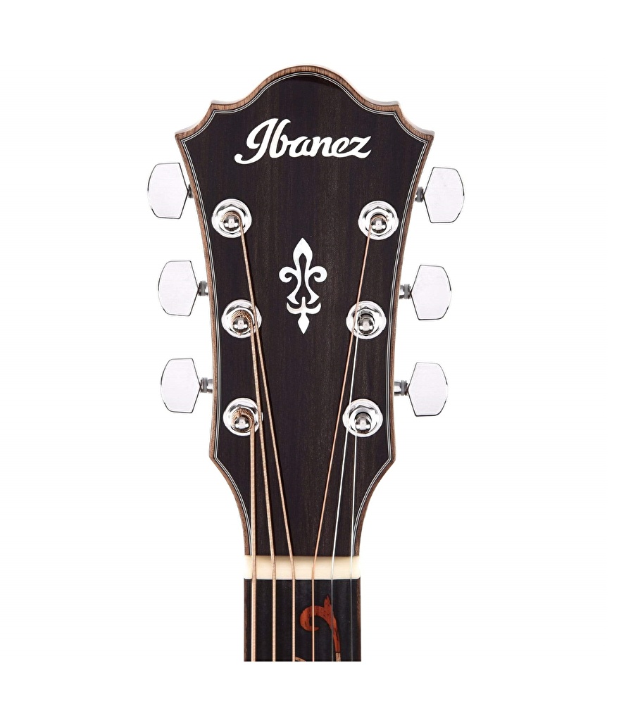 Ibanez shop ae255bt baritone