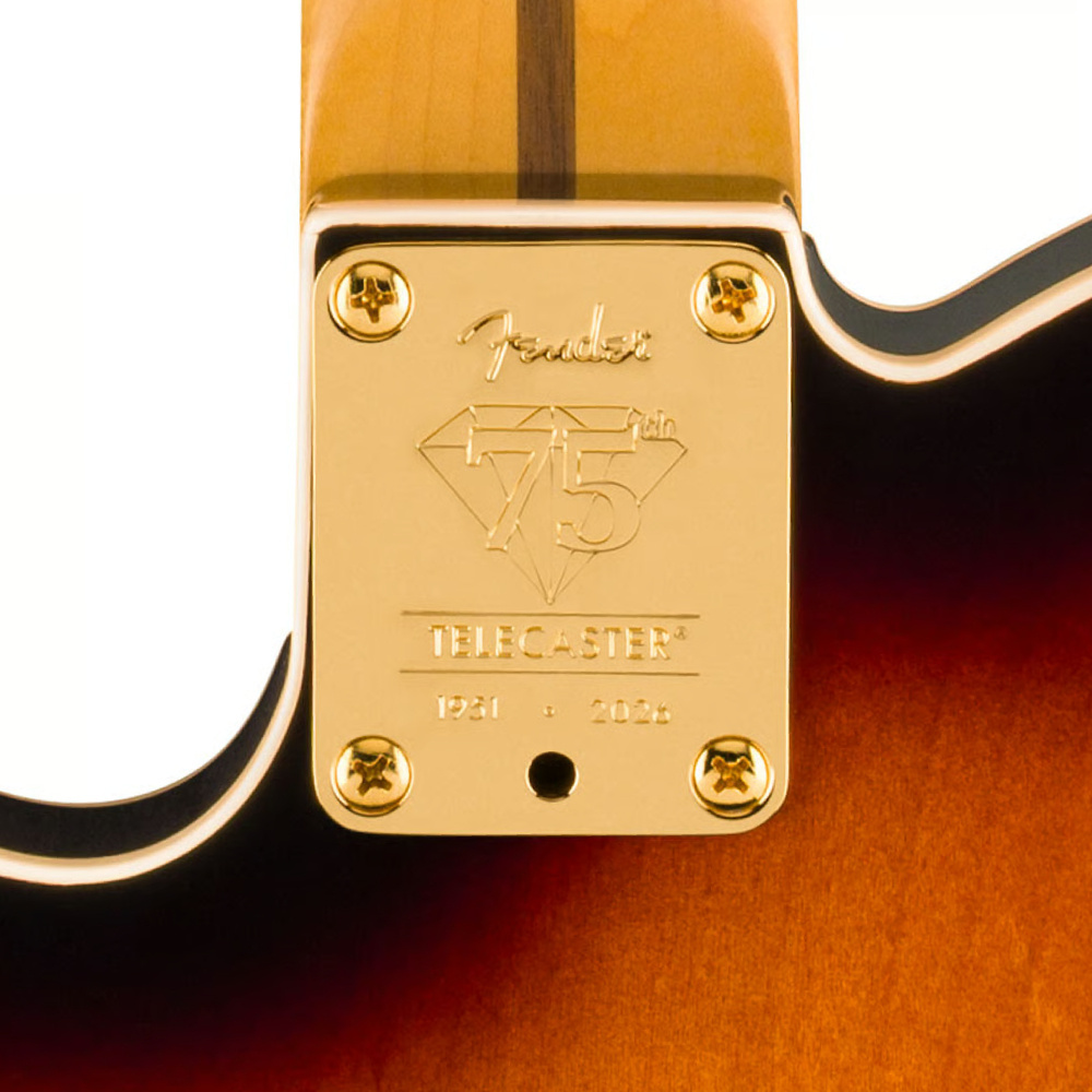 成*昭Fender TelecasterUSAAMERICAN VINTA 成*昭Fender
