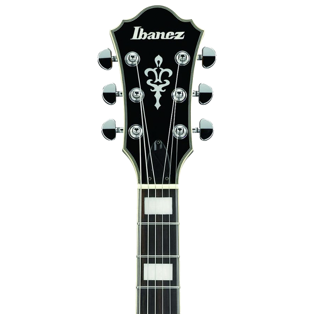 Ags73fm ibanez on sale