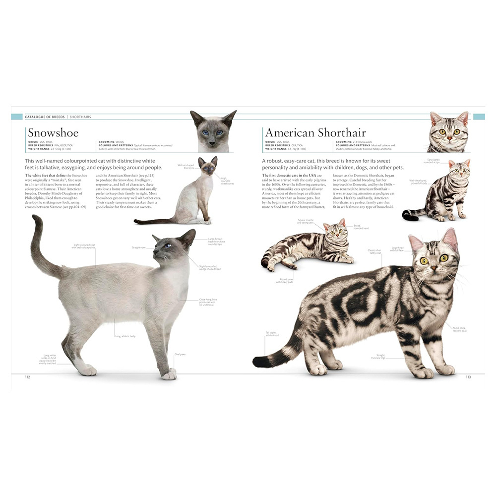 Cat Encyclopedia Fiyatı, Özellikleri | ZUHAL - 50 Yıldır Müzikle Cat Encyclopedia Fiyatı, Özellikleri | ZUHAL - 50 Yıldır Müzikle