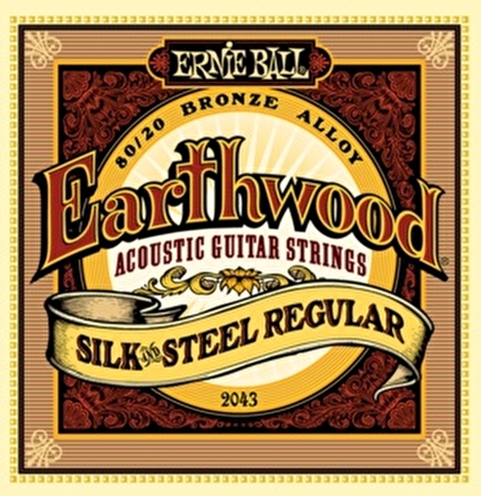 ERNIEBALL P02043 Earthwood Silk Steel Regular 80 20 Bronze 13