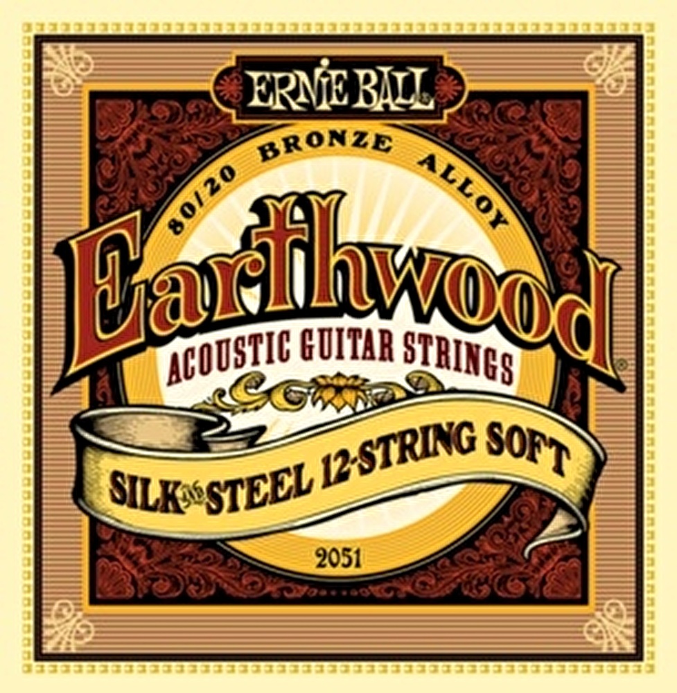 Ernie ball silk best sale and steel soft