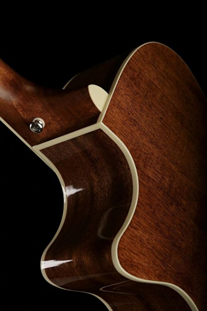 Ibanez ae245 online