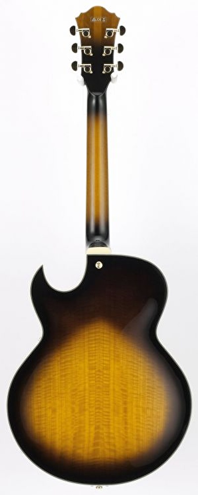 Ibanez george deals benson signature lgb30