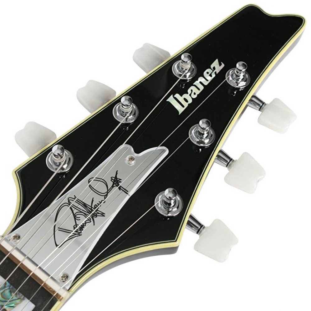 Ibanez ps10 store