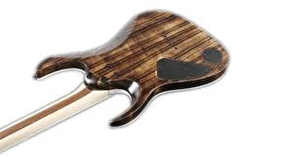 Ibanez rgaix6u store