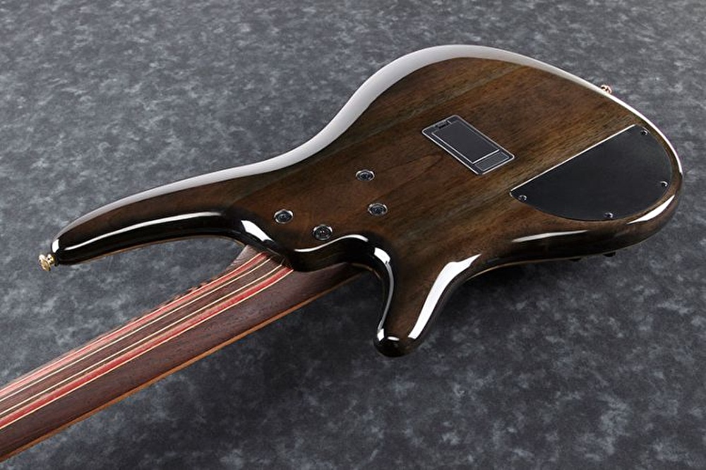 Gitar hotsell ibanez premium