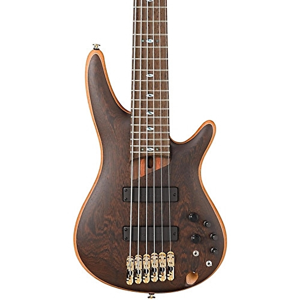 IBANEZ SR5006 OL SR Bas Gitar Case Dahil