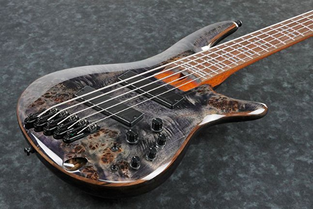 Ibanez 805 new arrivals