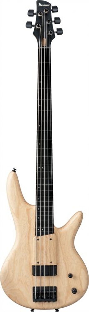Ibanez gwb1005 deals