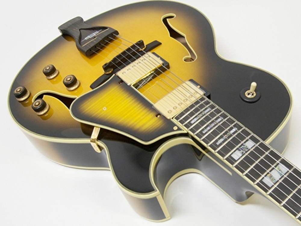 Gitar hollow shop