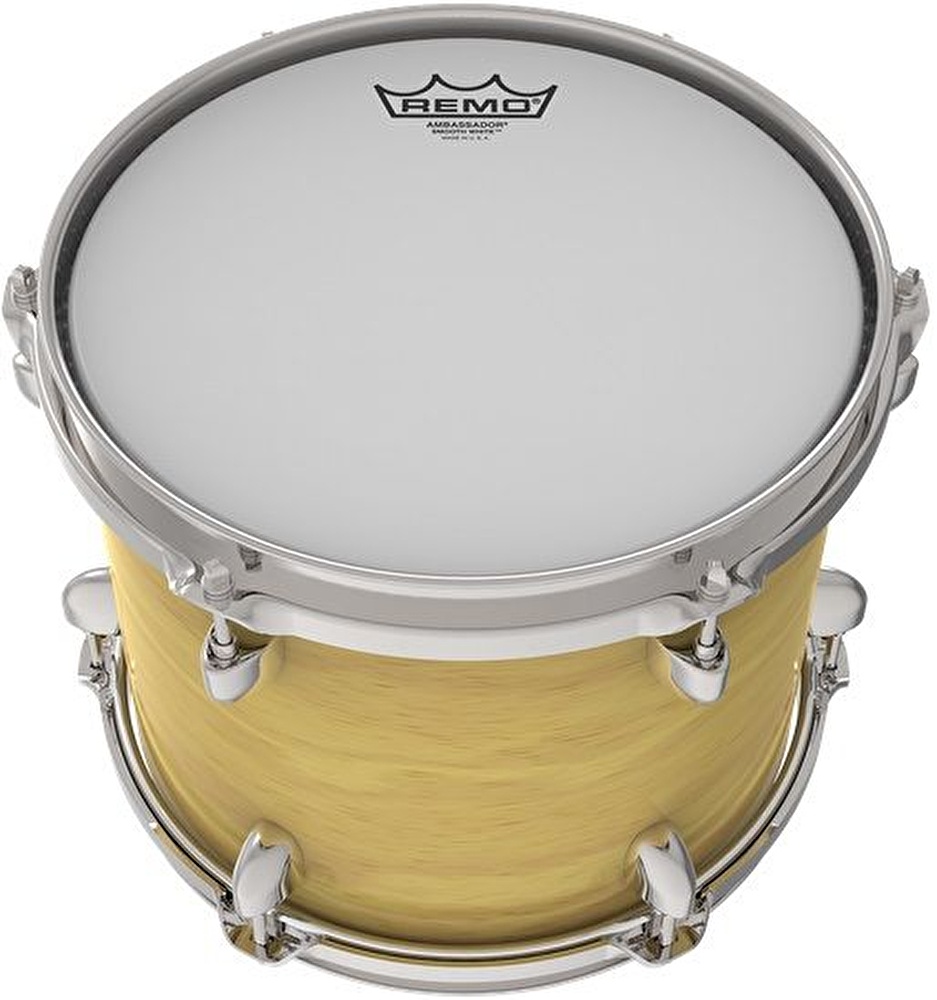 Remo ambassador smooth sales white