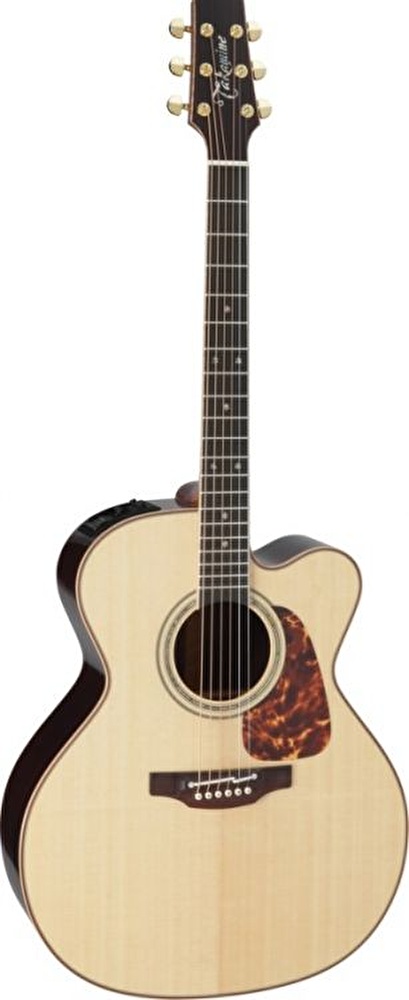Takamine store jumbo guitar