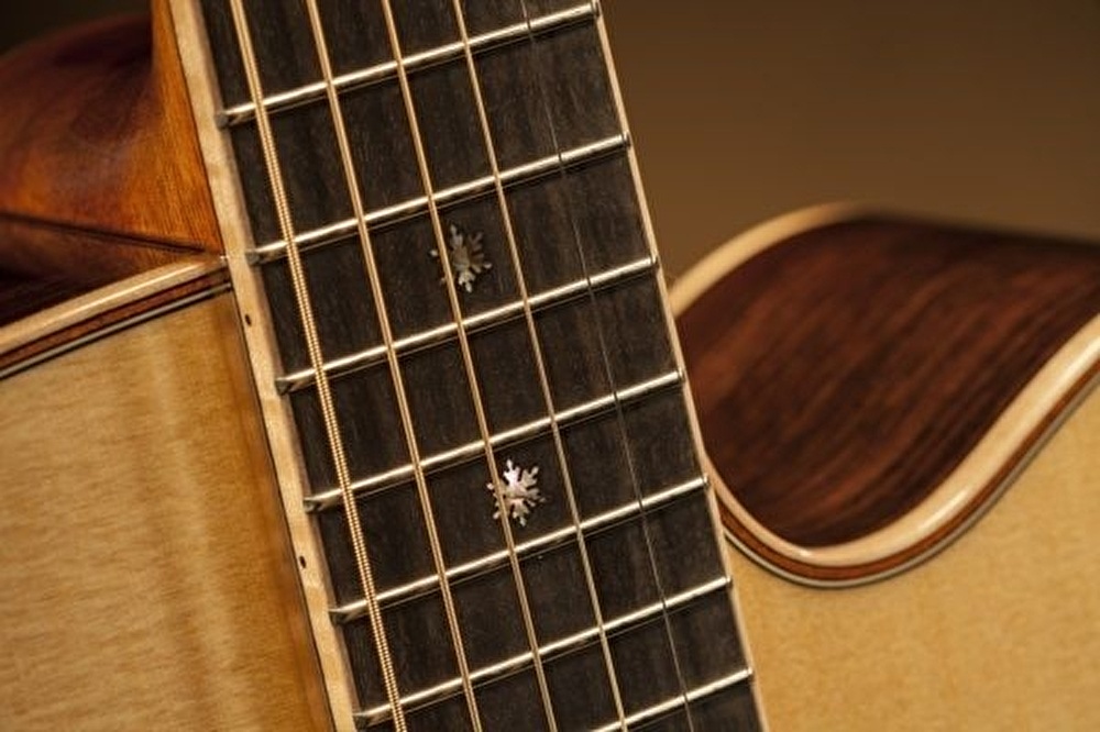 Takamine pro series 7 cheap nex cutaway