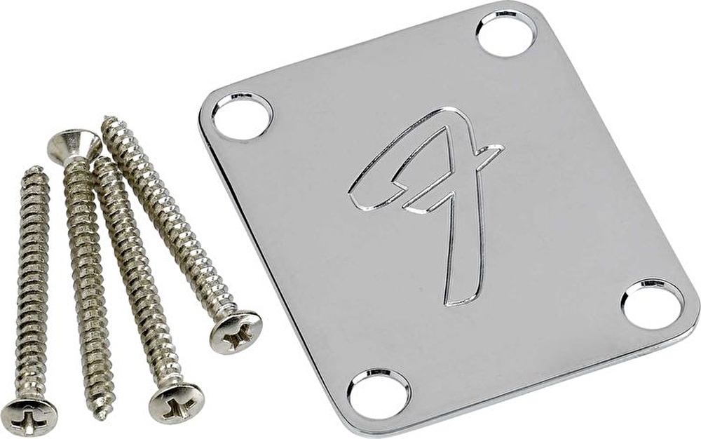 Fender stratocaster best sale neck plate