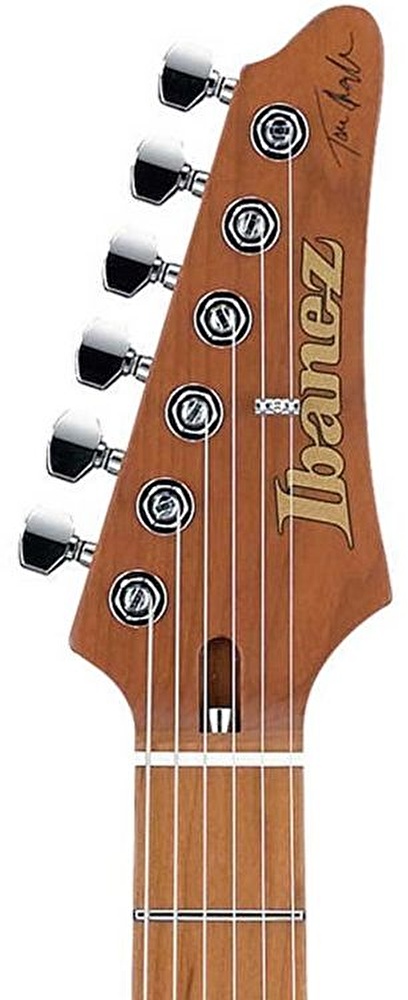 Ibanez tqm best sale
