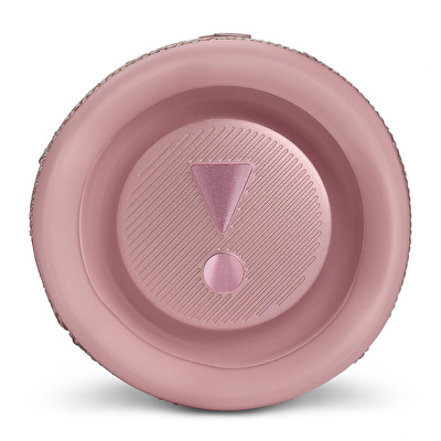 JBL Charge 5 Bluetooth Hoparlör Pembe
